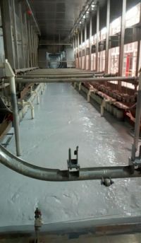 ���̰���